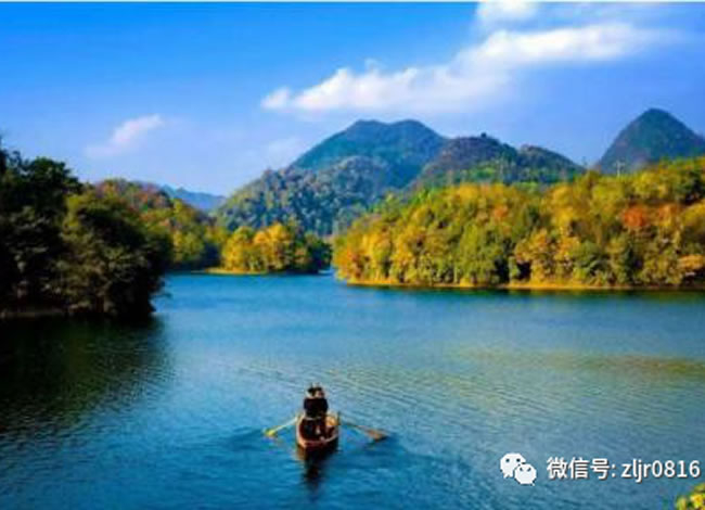 百里杜鹃旅居考察团3天2晚_海内旅游_Cmp冠军