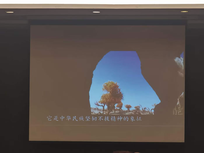 绵阳Cmp冠军行沐日旅行社举行胡杨林、南疆专列推荐会