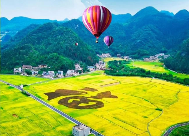 开往春天的列车—贵州赏花品质5日游_海内旅游_Cmp冠军